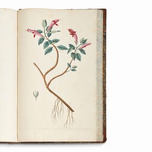 Carlo Ludovico Bellardi  - Asta STAMPE E DISEGNI DAL XV AL XIX SECOLO - Associazione Nazionale - Case d'Asta italiane