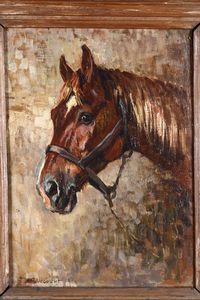 Lecourt Raymond Louis - Testa di cavallo