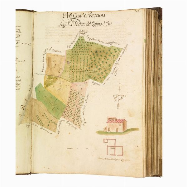 (Toscana storica - Vigneti - Alberi - Pisa - Livorno)   RINALDI, Giovanni Domenico.   Campione di piante, misure, descrizioni, e notitie di beni stabili, posti in diversi comuni … attinenti al S.r Corn.tà, Francesco del Sig. Corn. Lorenzo Casanuova … Delineato, et in parte misurato da me Gio.ni Dom.co Rinaldi questo presente anno 1719, e 1720.   [Pisa], 1720.  - Asta LIBRI, MANOSCRITTI E AUTOGRAFI - Associazione Nazionale - Case d'Asta italiane