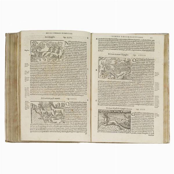 (Scandinavia - Illustrati 500)   MAGNUS, Olaus.   Historia delle genti et della natura delle cose settentrionali.   In Vinegia, appresso i Giunti, 1565 (al colophon: nella stamperia di Domenico Nicolini alle spese degli heredi di Luc’antonio Giunti, 1565).  - Asta LIBRI, MANOSCRITTI E AUTOGRAFI - Associazione Nazionale - Case d'Asta italiane