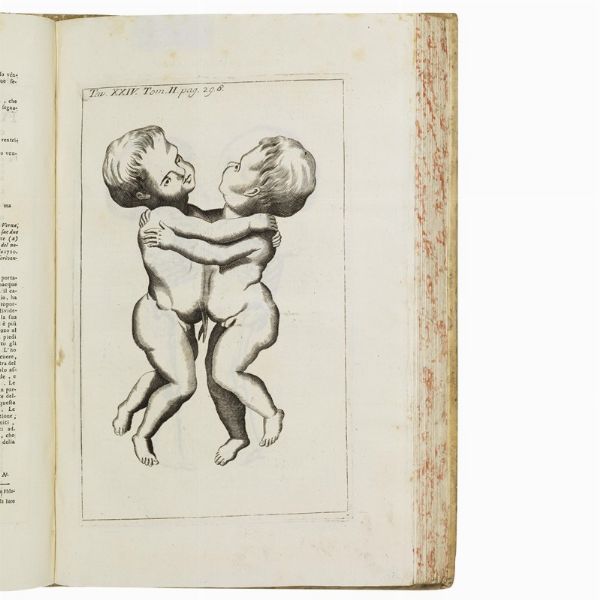 (Storia naturale - Medicina - Illustrati 700)   VALLISNERI, Antonio.   Opere fisico-mediche. Tomo primo [- terzo].    In Venezia, appresso Sebastiano Coleti, 1733.  - Asta LIBRI, MANOSCRITTI E AUTOGRAFI - Associazione Nazionale - Case d'Asta italiane
