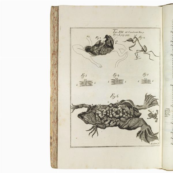 (Storia naturale - Medicina - Illustrati 700)   VALLISNERI, Antonio.   Opere fisico-mediche. Tomo primo [- terzo].    In Venezia, appresso Sebastiano Coleti, 1733.  - Asta LIBRI, MANOSCRITTI E AUTOGRAFI - Associazione Nazionale - Case d'Asta italiane