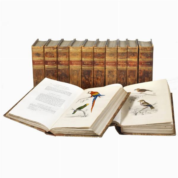 (Storia naturale - Illustrati 800)   BUFFON, Georges-Louis Leclerc de.   Œuvres complètes [...] Avec la nomenclature linnéenne et la classification de Cuvier. Revues sur l’édition in-4° de l’Imprimerie Royale et annotées par M. Flourens [...].     Tome premier (-douzième).   Paris, Garnier frères, [1855-1857].  - Asta LIBRI, MANOSCRITTI E AUTOGRAFI - Associazione Nazionale - Case d'Asta italiane
