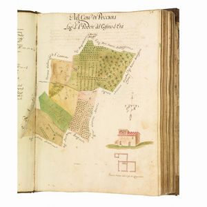 (Toscana storica - Vigneti - Alberi - Pisa - Livorno)   RINALDI, Giovanni Domenico.   Campione di piante, misure, descrizioni, e notitie di beni stabili, posti in diversi comuni … attinenti al S.r Corn.tà, Francesco del Sig. Corn. Lorenzo Casanuova … Delineato, et in parte misurato da me Gio.ni Dom.co Rinaldi questo presente anno 1719, e 1720.   [Pisa], 1720.  - Asta LIBRI, MANOSCRITTI E AUTOGRAFI - Associazione Nazionale - Case d'Asta italiane