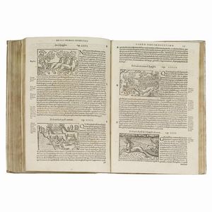 (Scandinavia - Illustrati 500)   MAGNUS, Olaus.   Historia delle genti et della natura delle cose settentrionali.   In Vinegia, appresso i Giunti, 1565 (al colophon: nella stamperia di Domenico Nicolini alle spese degli heredi di Luc’antonio Giunti, 1565).  - Asta LIBRI, MANOSCRITTI E AUTOGRAFI - Associazione Nazionale - Case d'Asta italiane