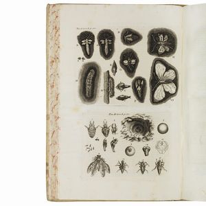 (Storia naturale - Medicina - Illustrati 700)   VALLISNERI, Antonio.   Opere fisico-mediche. Tomo primo [- terzo].    In Venezia, appresso Sebastiano Coleti, 1733.  - Asta LIBRI, MANOSCRITTI E AUTOGRAFI - Associazione Nazionale - Case d'Asta italiane