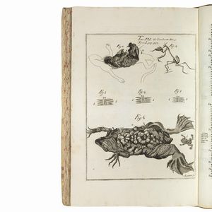 (Storia naturale - Medicina - Illustrati 700)   VALLISNERI, Antonio.   Opere fisico-mediche. Tomo primo [- terzo].    In Venezia, appresso Sebastiano Coleti, 1733.  - Asta LIBRI, MANOSCRITTI E AUTOGRAFI - Associazione Nazionale - Case d'Asta italiane