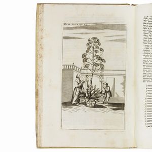 (Storia naturale - Medicina - Illustrati 700)   VALLISNERI, Antonio.   Opere fisico-mediche. Tomo primo [- terzo].    In Venezia, appresso Sebastiano Coleti, 1733.  - Asta LIBRI, MANOSCRITTI E AUTOGRAFI - Associazione Nazionale - Case d'Asta italiane