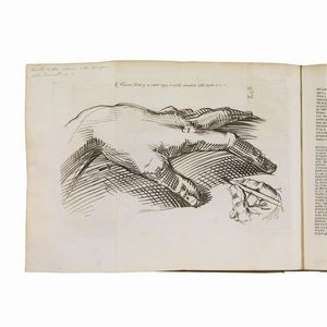 (Storia dell’arte - Illustrati 700)   VASARI, Giorgio.     Vite de’ più eccellenti pittori scultori e architetti.   In Roma, per Niccolò e Marco Pagliarini, 1759-1760.  - Asta LIBRI, MANOSCRITTI E AUTOGRAFI - Associazione Nazionale - Case d'Asta italiane
