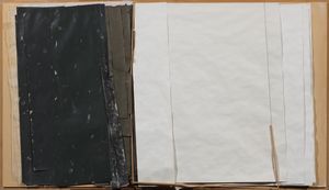 SANDRO DE ALEXANDRIS - Verso l'ardesia