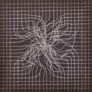 Carlo Severa - Groviglio