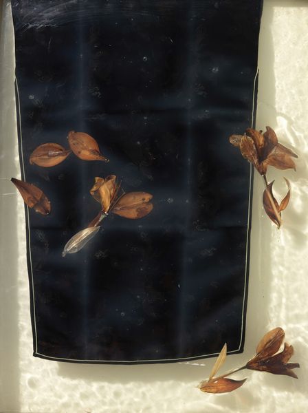 Barbara Salvucci : Promessa  - Asta Arte Contemporanea - Associazione Nazionale - Case d'Asta italiane