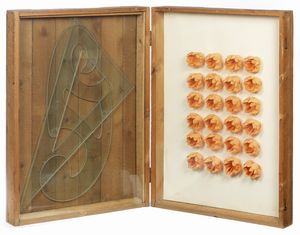 MARIO CEROLI - La valigia dell'emigrante