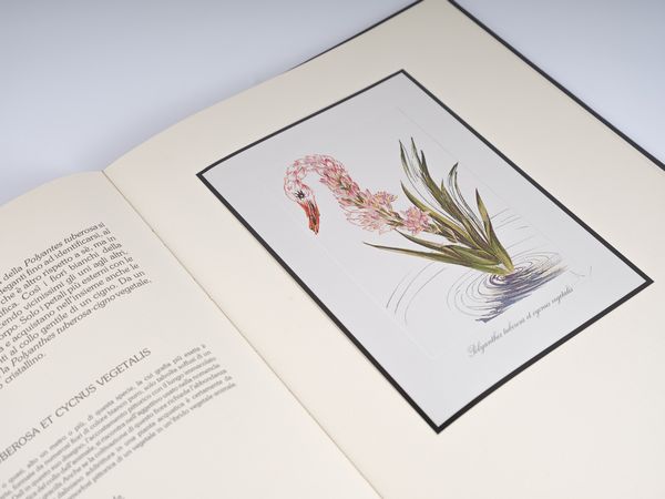 DALI' SALVADOR (1904 - 1989) : I fiori surrealisti.  - Asta Asta 407 | ARTE MODERNA E CONTEMPORANEA Virtuale - Associazione Nazionale - Case d'Asta italiane