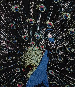 DIAZZI ROBERTA  (n. 1973) - Vanity.