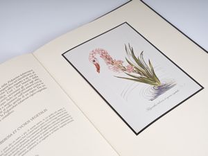 DALI' SALVADOR (1904 - 1989) : I fiori surrealisti.  - Asta Asta 407 | ARTE MODERNA E CONTEMPORANEA Virtuale - Associazione Nazionale - Case d'Asta italiane