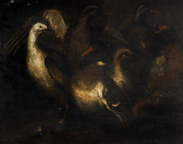 Cerchia di Angelo Maria Crivelli, detto il Crivellone (1660 – 1730) : Volatili  - Asta Dipinti e Disegni Antichi - Associazione Nazionale - Case d'Asta italiane