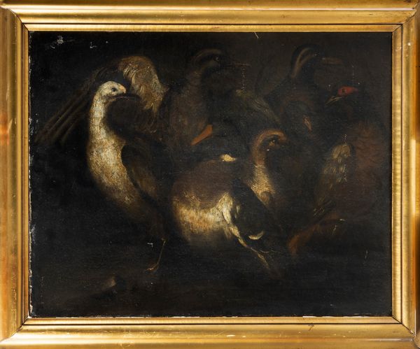 Cerchia di Angelo Maria Crivelli, detto il Crivellone (1660 – 1730) : Volatili  - Asta Dipinti e Disegni Antichi - Associazione Nazionale - Case d'Asta italiane