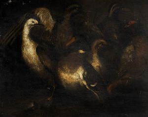 Cerchia di Angelo Maria Crivelli, detto il Crivellone (1660 – 1730) : Volatili  - Asta Dipinti e Disegni Antichi - Associazione Nazionale - Case d'Asta italiane