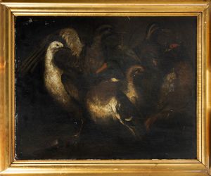 Cerchia di Angelo Maria Crivelli, detto il Crivellone (1660 – 1730) : Volatili  - Asta Dipinti e Disegni Antichi - Associazione Nazionale - Case d'Asta italiane