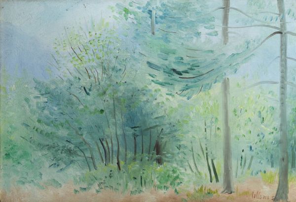 UMBERTO LILLONI  - Asta Dipinti - Associazione Nazionale - Case d'Asta italiane