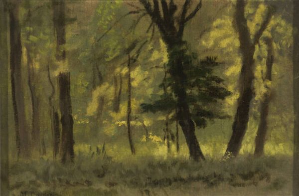 MARCO CALDERINI  - Asta Dipinti - Associazione Nazionale - Case d'Asta italiane