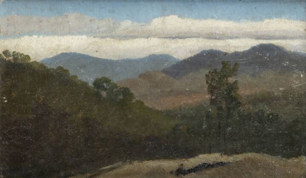 SCUOLA DI POSILLIPO  - Asta Dipinti - Associazione Nazionale - Case d'Asta italiane