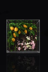 PIERO GILARDI  - Asta Dipinti - Associazione Nazionale - Case d'Asta italiane