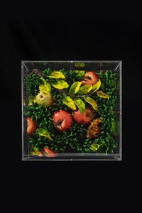 PIERO GILARDI  - Asta Dipinti - Associazione Nazionale - Case d'Asta italiane