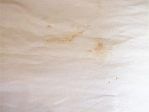 .  - Asta La casa classica. Stile intramontabile - Associazione Nazionale - Case d'Asta italiane