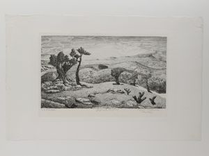 Hans Otto Schönleber - Vedute di Girgenti (Agrigento)