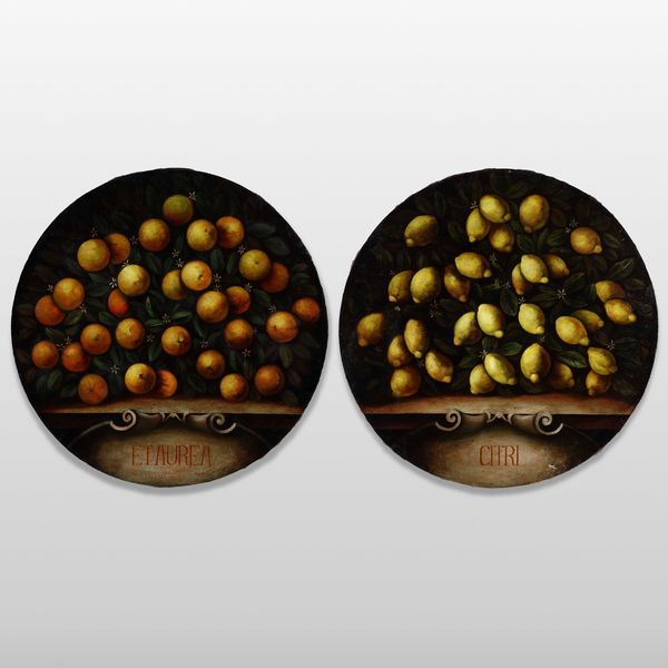 Bartolomeo Bimbi, nei modi di : Composizioni di limoni e arance  - Asta Dipinti Antichi - Associazione Nazionale - Case d'Asta italiane