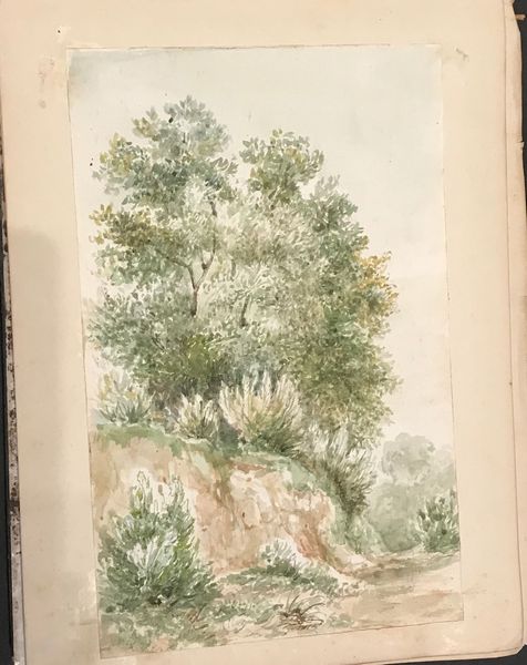 Album con disegni attribuiti a Paolo Domenico Cambiaso  - Asta Dipinti Antichi - Associazione Nazionale - Case d'Asta italiane