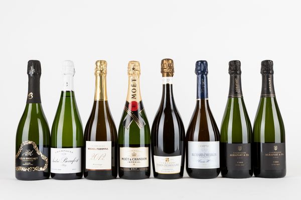 FRANCIA : Selezione Champagne (8 BT)  - Asta Vini e Distillati - Associazione Nazionale - Case d'Asta italiane