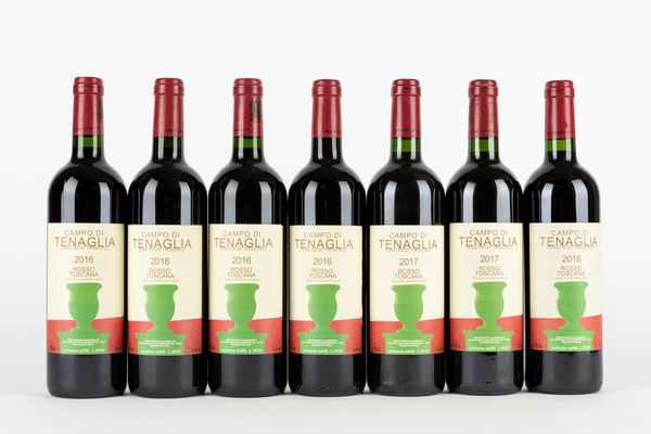 Toscana : Tenuta di Trinoro Campo di Tenaglia 2016-2018 (7 BT)  - Asta Vini e Distillati - Associazione Nazionale - Case d'Asta italiane