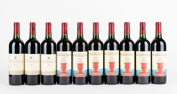 Toscana : Verticale Tenuta di Trinoro Campo di Magnacosta 2013-2019 (10 BT)  - Asta Vini e Distillati - Associazione Nazionale - Case d'Asta italiane