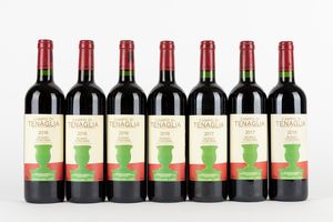 Toscana - Tenuta di Trinoro Campo di Tenaglia 2016-2018 (7 BT)