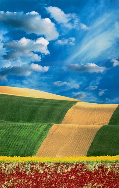 Franco Fontana : Senza titolo (Paesaggio)  - Asta Fotografia: Under 1K - Associazione Nazionale - Case d'Asta italiane