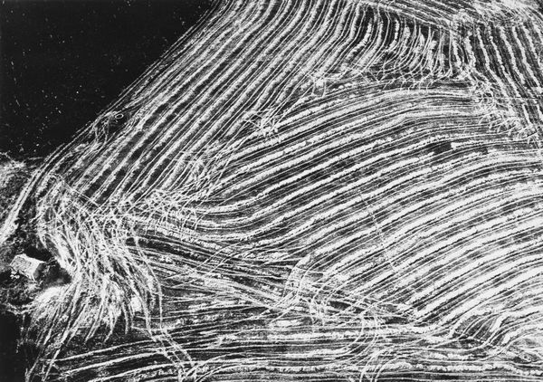 Mario Giacomelli : Presa di cosienza sulla natura  - Asta Fotografia: Under 1K - Associazione Nazionale - Case d'Asta italiane