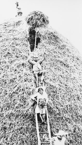 Mario Giacomelli : La buona terra  - Asta Fotografia: Under 1K - Associazione Nazionale - Case d'Asta italiane