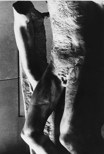 PAOLO MONTI : Piet Rondanini  - Asta Fotografia: Under 1K - Associazione Nazionale - Case d'Asta italiane