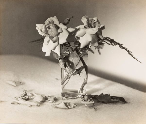 Jean-Marie Auradon : Quelque rose sur ....  - Asta Fotografia: Under 1K - Associazione Nazionale - Case d'Asta italiane