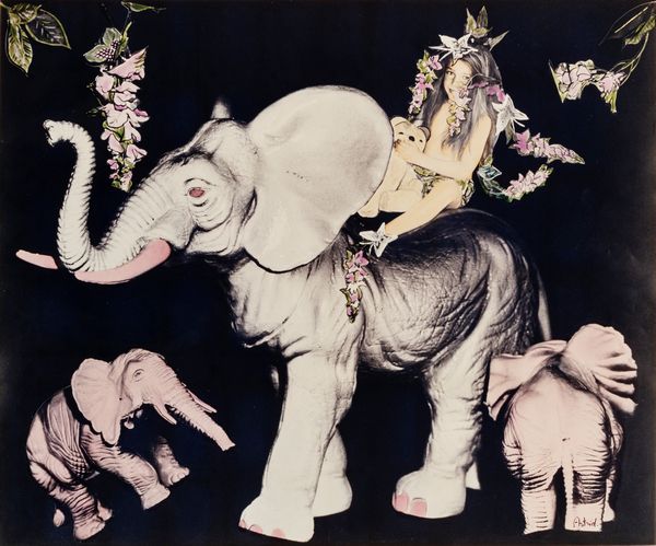 Astrid : Senza titolo  - Asta Fotografia: Under 1K - Associazione Nazionale - Case d'Asta italiane