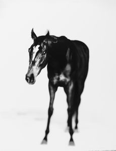 Marco Delogu - Uva rara