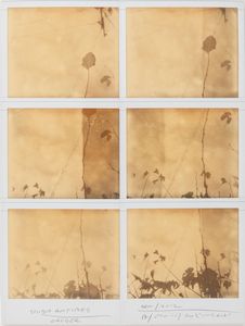 MAURIZIO GALIMBERTI - Studio Antibes