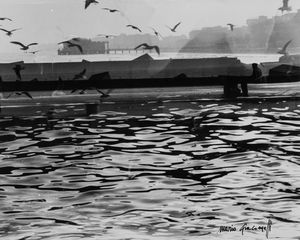 Mario Giacomelli - Senza titolo (Mare)