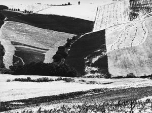 Mario Giacomelli - Presa di coscienza sulla natura