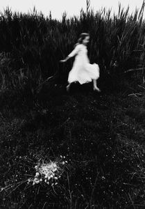 Mario Lasalandra - Storia di un dramma n 5