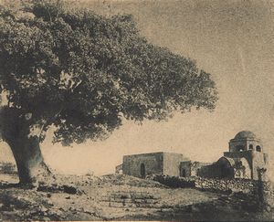 Domenico Riccardo Peretti Griva - Oriente