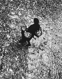 FULVIO ROITER - Val Camonica